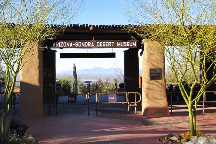Explore Tucson: Customizable Day Tours from Phoenix to Arizona’s Desert Gems photo 5