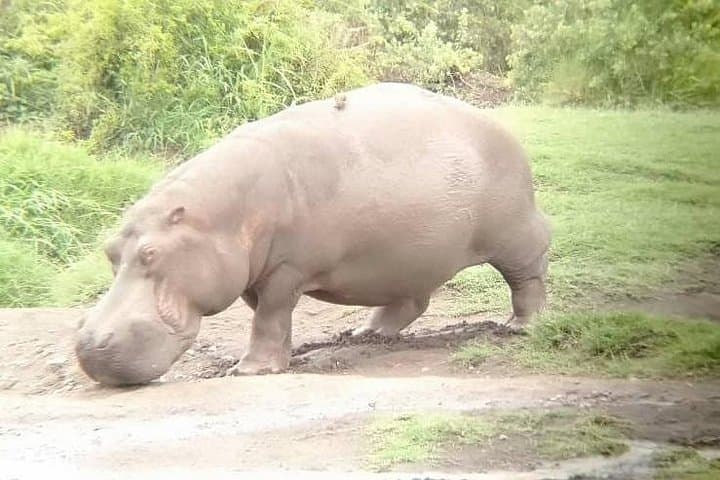 2-Day Comfort Tarangire and Ngorongoro Crater Safari photo 2