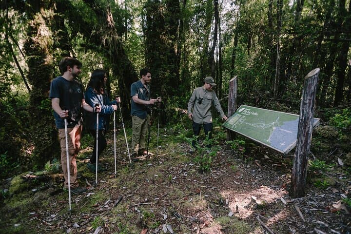 Tepuhueico Park Private Excursion: Chiloé Hike to Waterfalls & Wildlife photo 2