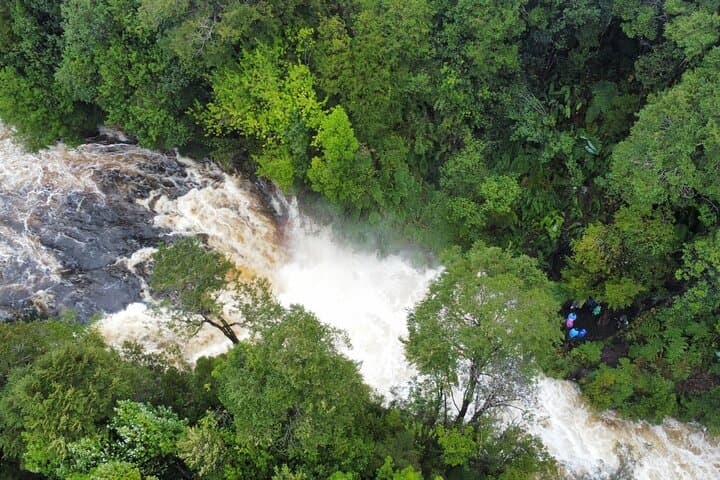 Tepuhueico Park Private Excursion: Chiloé Hike to Waterfalls & Wildlife photo 6