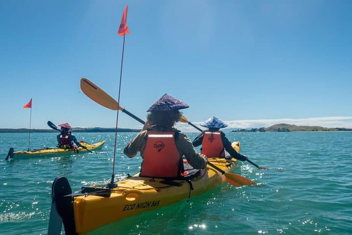 2-Day Waiheke Island Sea Kayak Tour — Paddle, Wine and Glamp the Hauraki Gulf photo 3