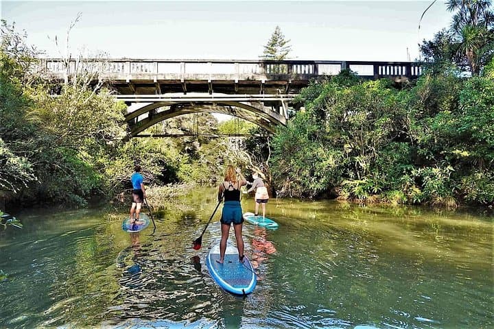 Albany SUP Tour to Lucas Creek Waterfall: 2-Hour Guided Paddle in the Hauraki Gulf photo 3
