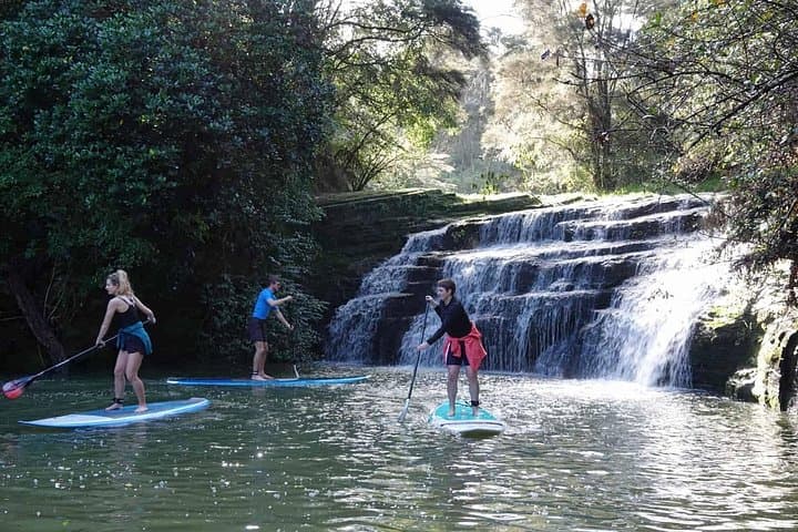 Albany SUP Tour to Lucas Creek Waterfall: 2-Hour Guided Paddle in the Hauraki Gulf photo 2