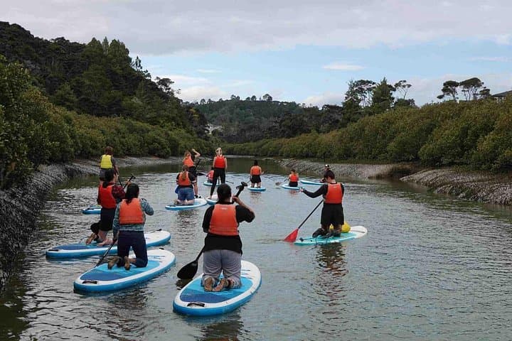 Albany SUP Tour to Lucas Creek Waterfall: 2-Hour Guided Paddle in the Hauraki Gulf photo 4