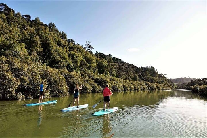 Albany SUP Tour to Lucas Creek Waterfall: 2-Hour Guided Paddle in the Hauraki Gulf