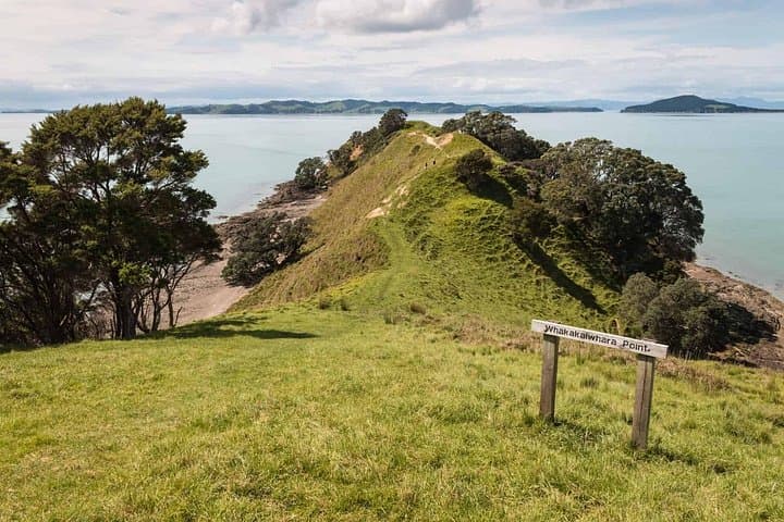 Duder Regional Park Half-Day Walking Tour — Coastal Cliffs, Native Forest & Historic Homesteads