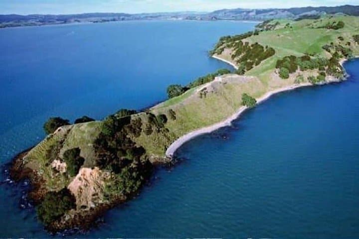 Duder Regional Park Half-Day Walking Tour — Coastal Cliffs, Native Forest & Historic Homesteads photo 4