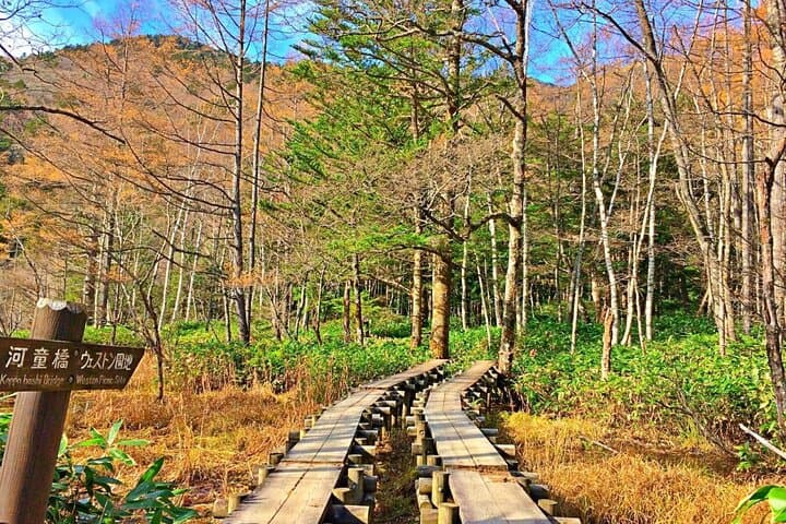 Kamikochi and Matsumoto Day Tour from Nagano: Alpine Walks and Castle History photo 4