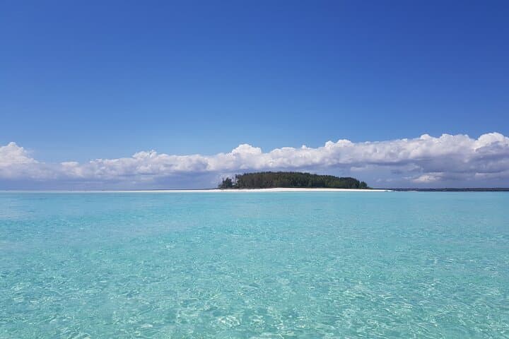Morning Dolphin Cruise and Mnemba Snorkel: Swim with Turtles in Zanzibar