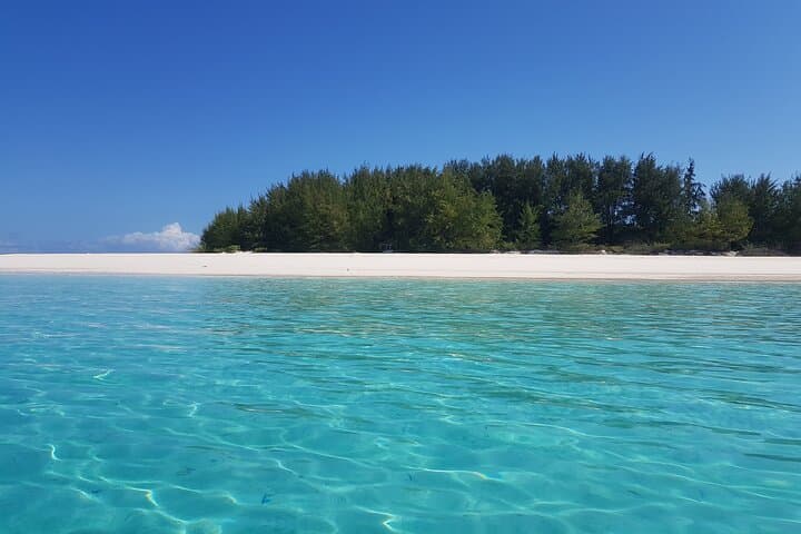 Morning Dolphin Cruise and Mnemba Snorkel: Swim with Turtles in Zanzibar photo 2