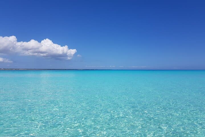 Morning Dolphin Cruise and Mnemba Snorkel: Swim with Turtles in Zanzibar photo 3