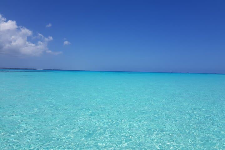 Morning Dolphin Cruise and Mnemba Snorkel: Swim with Turtles in Zanzibar photo 5