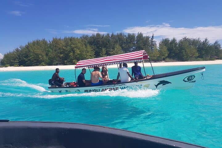Morning Dolphin Cruise and Mnemba Snorkel: Swim with Turtles in Zanzibar photo 6
