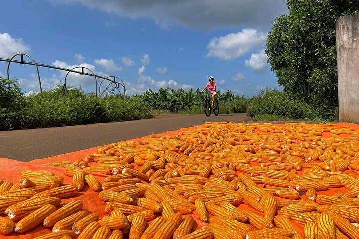 Countryside Biking from Phu My Port: Rubber Plantations & Village Roads (Half-Day) photo 3