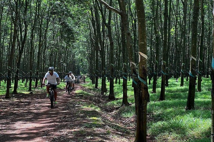 Countryside Biking from Phu My Port: Rubber Plantations & Village Roads (Half-Day)