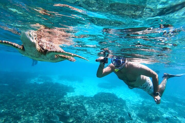 Daymaniat Islands Snorkeling: Turtles, Rays & Reefs from Muscat photo 3