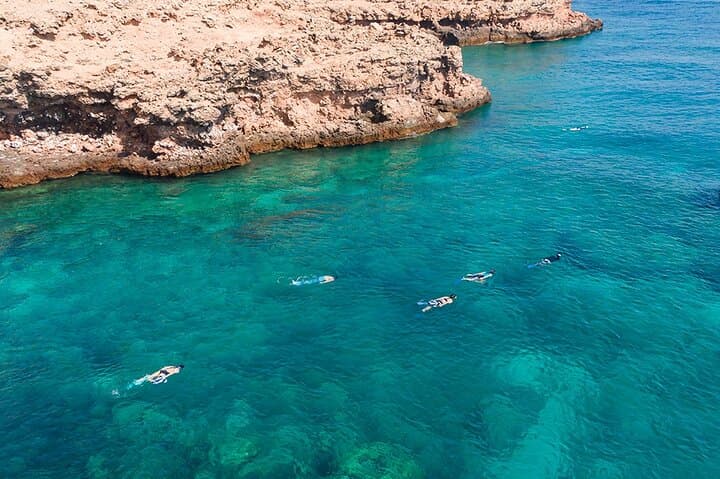 Daymaniat Islands Snorkeling: Turtles, Rays & Reefs from Muscat photo 6