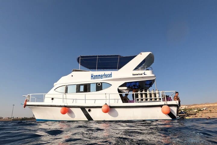 Aqaba Boat Snorkel with Lunch — Reefs, Wrecks & Shore Pickup