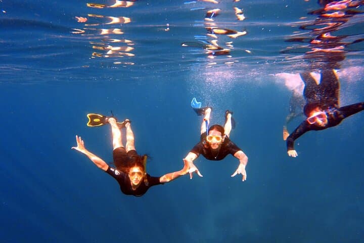 Aqaba Boat Snorkel with Lunch — Reefs, Wrecks & Shore Pickup photo 3