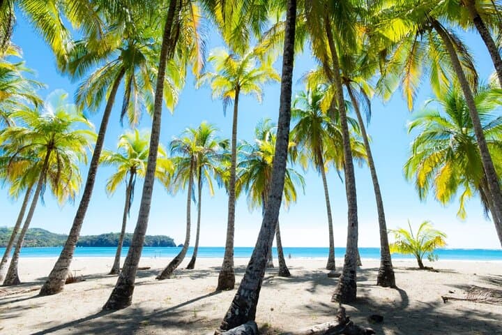 Flamingo Beach Hopping & Snorkeling Private Charter — Half-Day Guanacaste photo 6