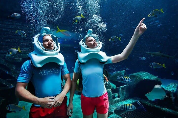 Explore the Lost Chamber Aquarium at Atlantis The Palm: Underwater Dubai Experience photo 2