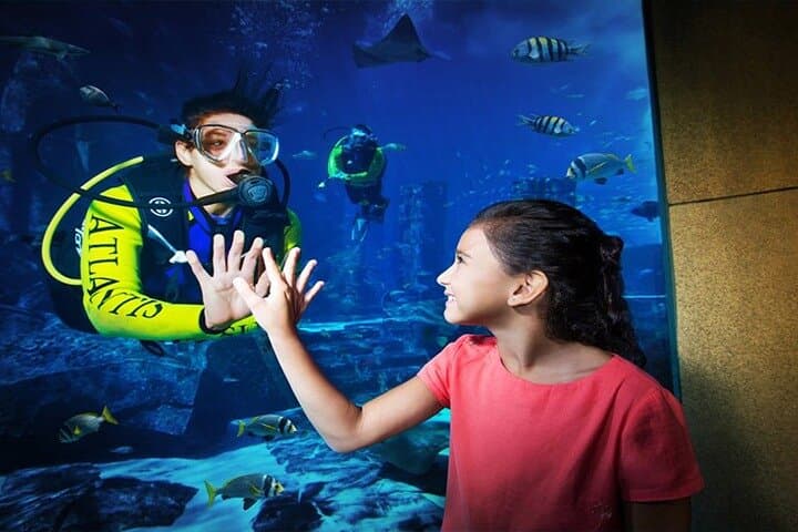 Explore the Lost Chamber Aquarium at Atlantis The Palm: Underwater Dubai Experience