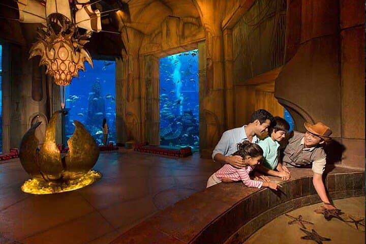 Explore the Lost Chamber Aquarium at Atlantis The Palm: Underwater Dubai Experience photo 3