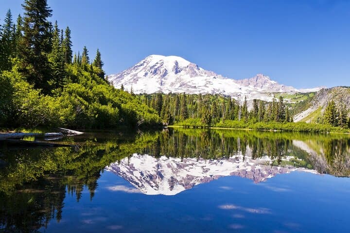 Drive Mount Rainier: Self-Guided Audio Tour of Paradise, Sunrise & Hidden Falls photo 5