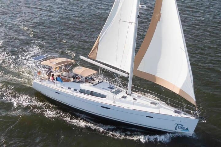 Private Sailing Charter on 50ft Fate — Charleston Harbor Dolphin & Fort Sumter Cruise