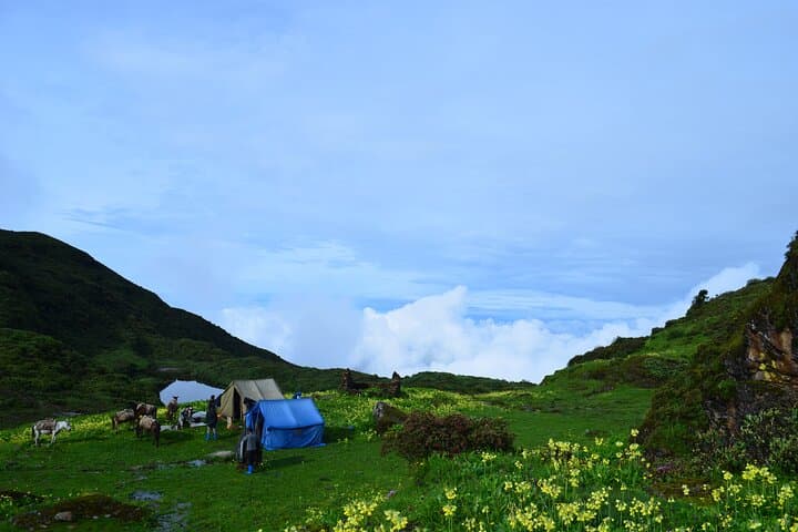 Bumdra Camping & Tiger’s Nest: 9-Day Bhutan Walking Holiday Across Paro, Thimphu & Punakha