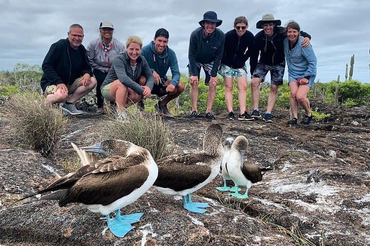 12-Day Galapagos Explorer: Santa Cruz, Isabela & San Cristobal Itinerary photo 2