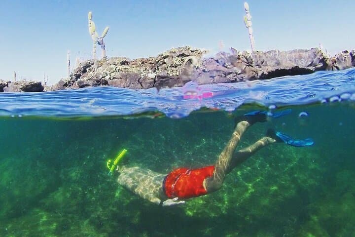 12-Day Galapagos Explorer: Santa Cruz, Isabela & San Cristobal Itinerary