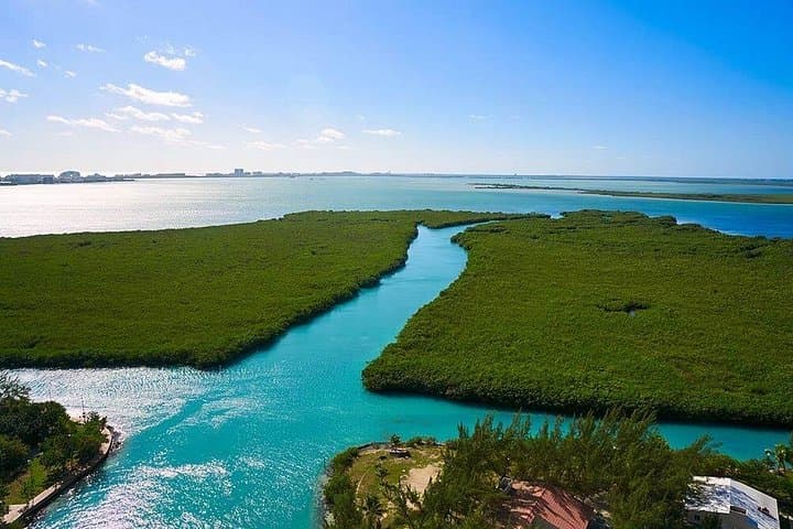 Glass-Bottom Boat Tour to Nichupté Lagoon — Cancun Marine Life & Reefs photo 4