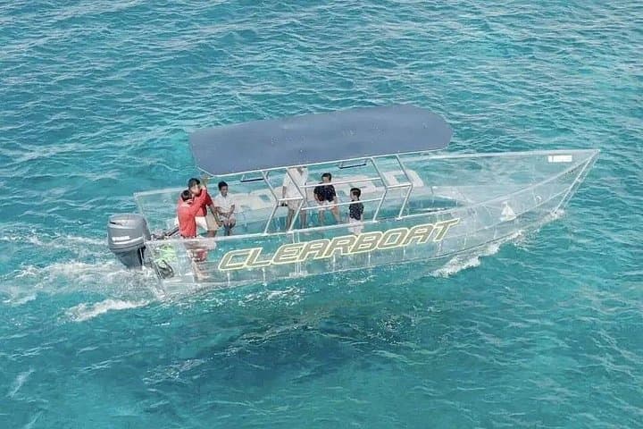 Glass-Bottom Boat Tour to Nichupté Lagoon — Cancun Marine Life & Reefs photo 3