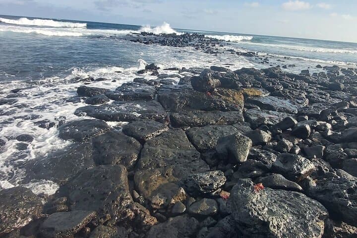 Galapagos Island Hopping: 8-Day Santa Cruz & Isabela Active Adventure photo 4
