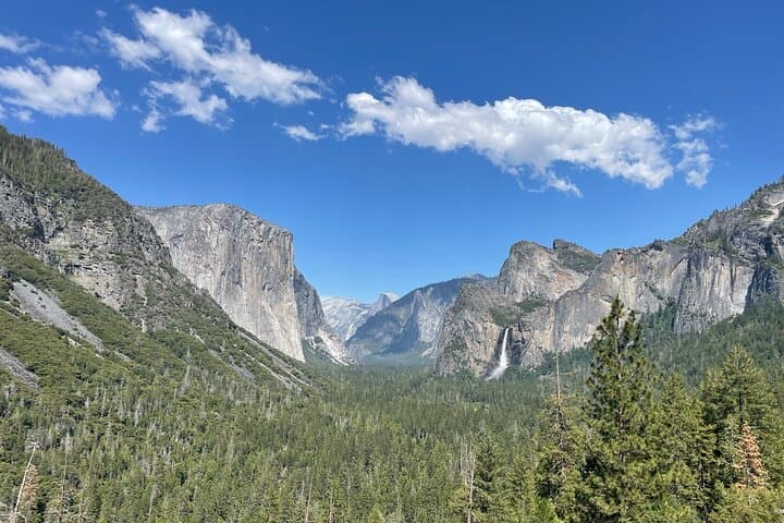 Private Yosemite, Sequoias & Glacier Point Day Tour from San Francisco