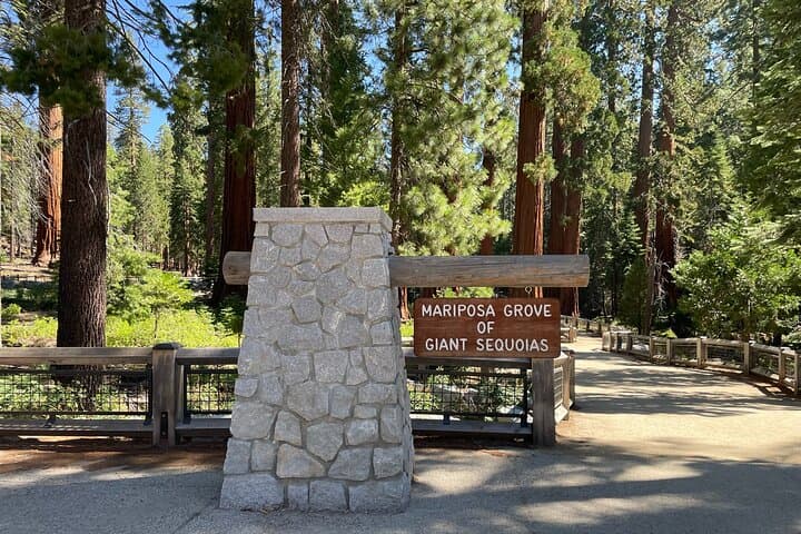 Private Yosemite, Sequoias & Glacier Point Day Tour from San Francisco photo 2