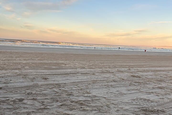 Goolwa Pipi Catching and Beach Cook-Up: Hands-On Shellfish Foraging Near Adelaide photo 3