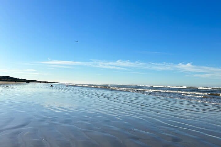 Goolwa Pipi Catching and Beach Cook-Up: Hands-On Shellfish Foraging Near Adelaide photo 4