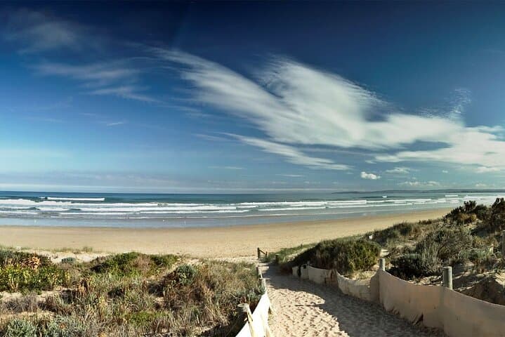 Goolwa Pipi Catching and Beach Cook-Up: Hands-On Shellfish Foraging Near Adelaide photo 6