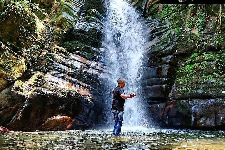 Salento, Cocora Valley & Santa Rita Waterfall: Day Tour from Pereira or Armenia photo 1