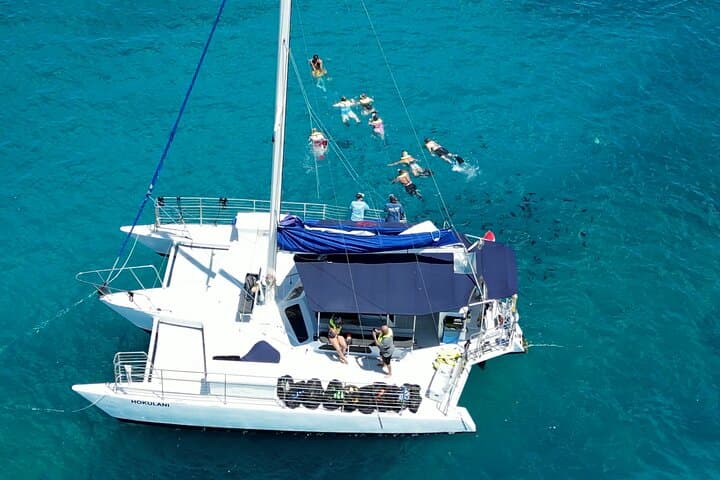 Waikiki Snorkel Tour to Turtle Canyon — Guaranteed Turtles & Premium Gear