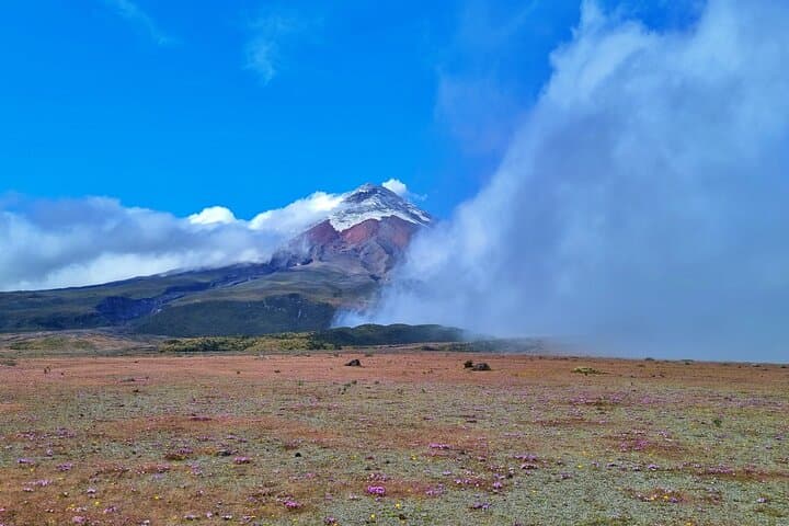 Full-Day Cotopaxi National Park Tour from Quito — Hike to the Refuge & Limpiopungo Lagoon