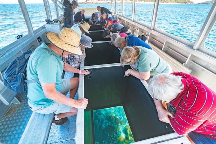 Great Keppel Island Snorkel & Boomnet Adventure — Day Trip from Rosslyn Bay photo 3