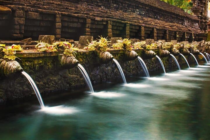 Ubud Private Day Tour — Tegalalang Rice Terraces, Monkey Forest & Tirta Empul Highlights photo 4