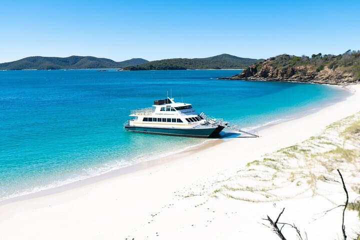 Great Keppel Island Snorkel & Boomnet Adventure — Day Trip from Rosslyn Bay photo 4