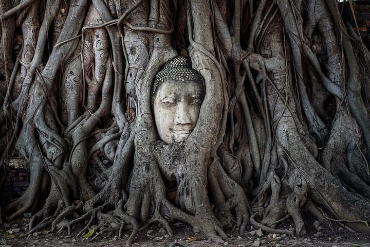 Ayutthaya Full-Day: ATV, Bicycle Tour, Floating Market & Sunset Boat photo 2