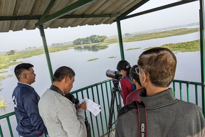 Bird Watching at Nandur Madhyameshwar: Nashik's Ramsar Wetland for Migratory and Resident Birds photo 6