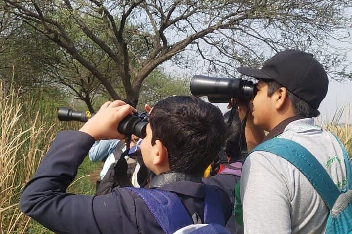 Bird Watching at Nandur Madhyameshwar: Nashik's Ramsar Wetland for Migratory and Resident Birds