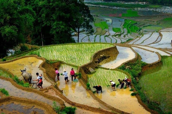 Sapa Day Trek: Terrace Fields & Lao Chai Village Immersion photo 3